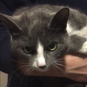 Meet your Posher, Kaitlin